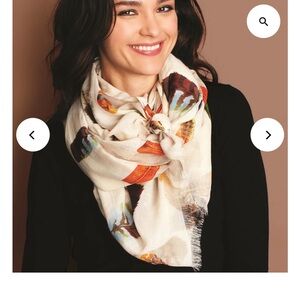 2 Chic Falling Feathers Multicolor Sheer Scarf 26x72
